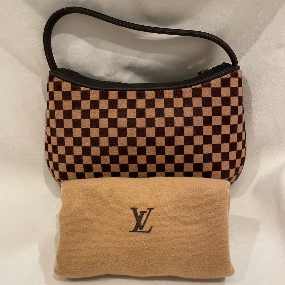 Louis Vuitton Damier Sauvage Leather Tigre Handbag - Picture 14 of 14